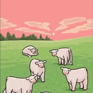 Meet your Posher, Jayna